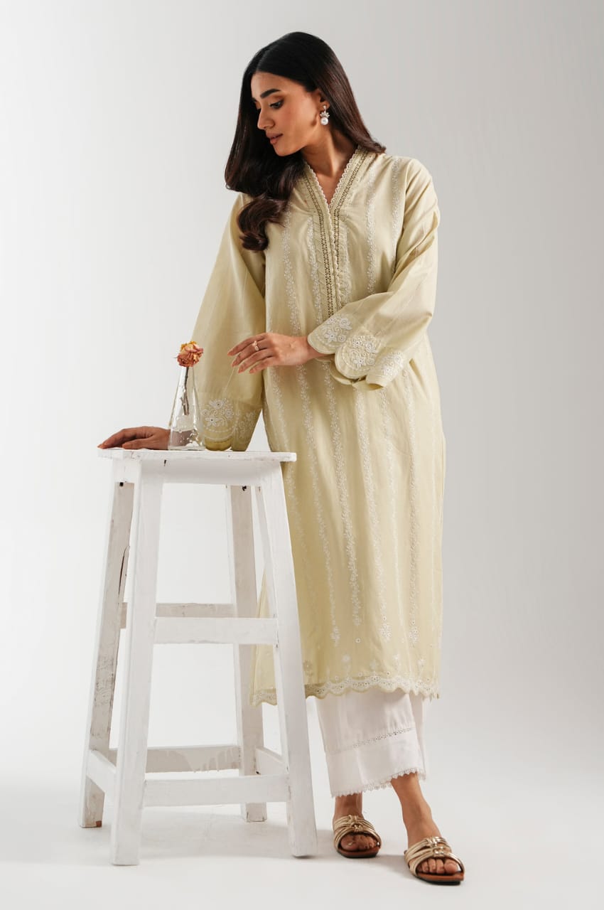 ZEEN 2 PIECE EMBROIDERED SUIT MODEL WEAR