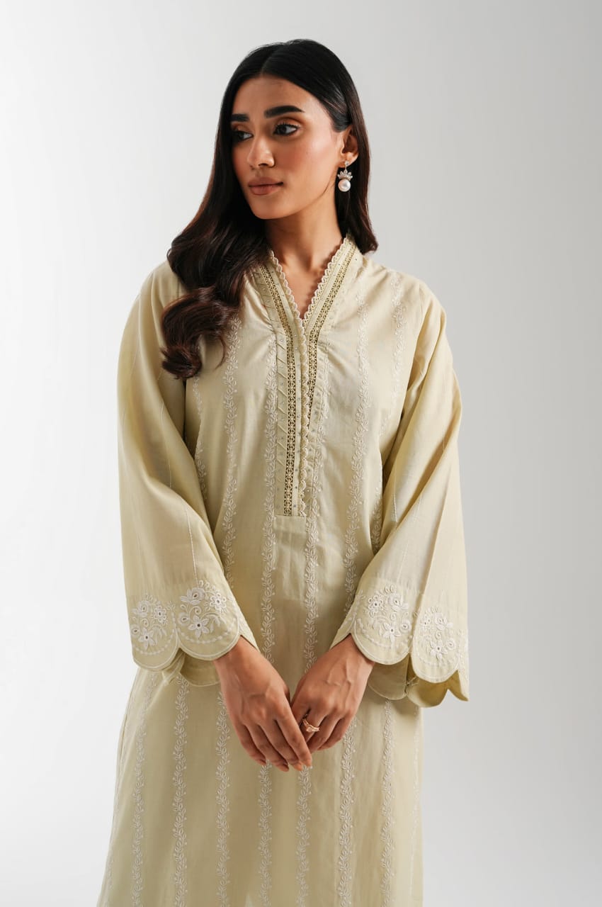 ZEEN 2 PIECE EMBROIDERED SUIT MODEL WEAR